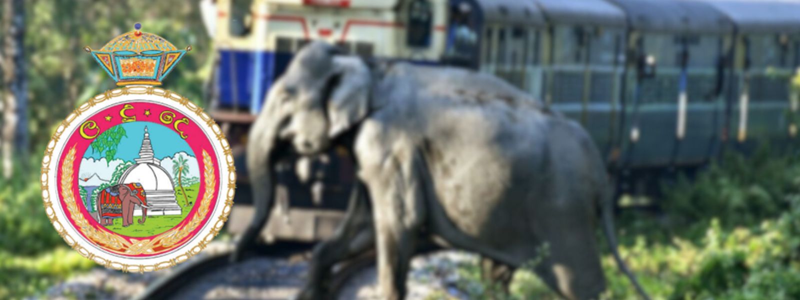 Railways Test Device to Prevent Elephant Collision